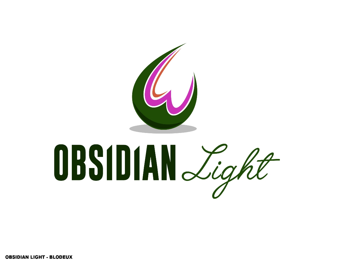Logo Design by blodeux 2 for this project | Design #6042525