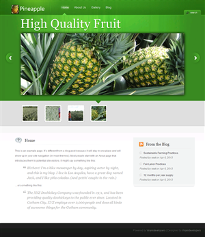 Wordpress Design by Viranidevelopers for Routine Capital Corp | Design: #1652643