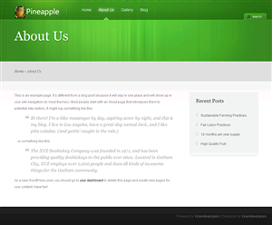 Wordpress Design by Viranidevelopers for Routine Capital Corp | Design: #1652646