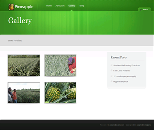 Wordpress Design by Viranidevelopers for Routine Capital Corp | Design: #1652649