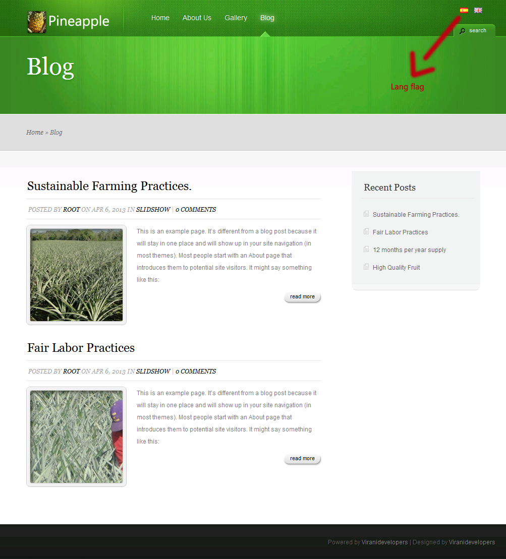 Wordpress Design by Viranidevelopers for Routine Capital Corp | Design #1652683