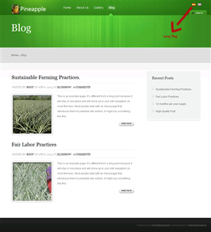 Wordpress Design by Viranidevelopers for Routine Capital Corp | Design: #1652683