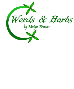 Logo Design by juri88