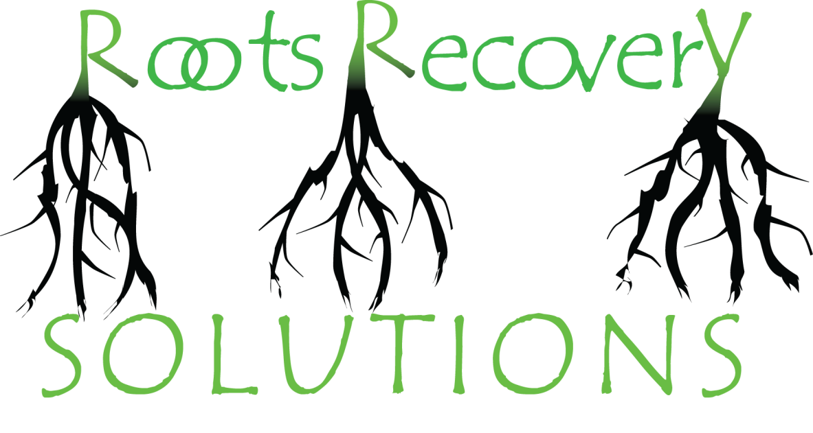 bold playful it company logo design for roots recovery solutions