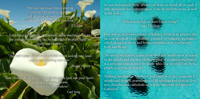 CD Cover Design by Hana Pexova for Tinamps | Design #1701749