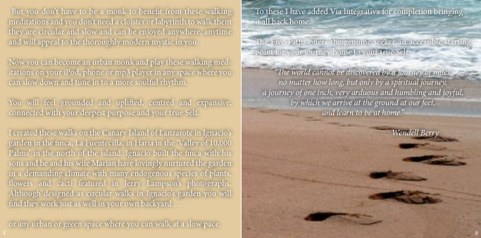 CD Cover Design by Hana Pexova for Tinamps | Design #1701750