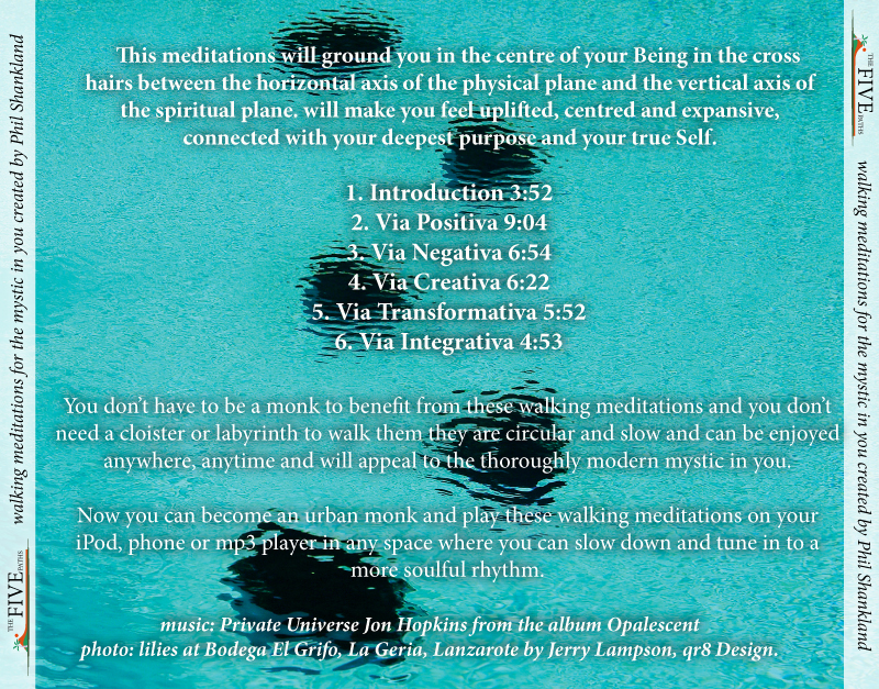 CD Cover Design by Hana Pexova for Tinamps | Design #1701761
