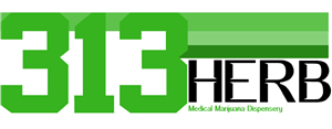 Logo Design by Cast Concepts