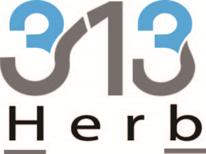 Logo Design by Saddam1