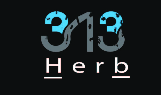 Logo Design by Saddam1 for this project | Design #6070828