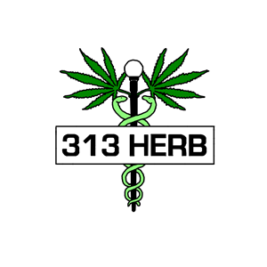 Logo Design by a_doodle_king for this project | Design: #6059906