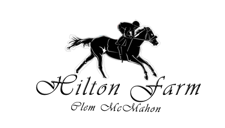 Design de Logo par manuwillwo pour Tailored Equestrian | Design #6080526