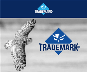 Logo Design by JuniorDesigns for this project | Design: #6184034