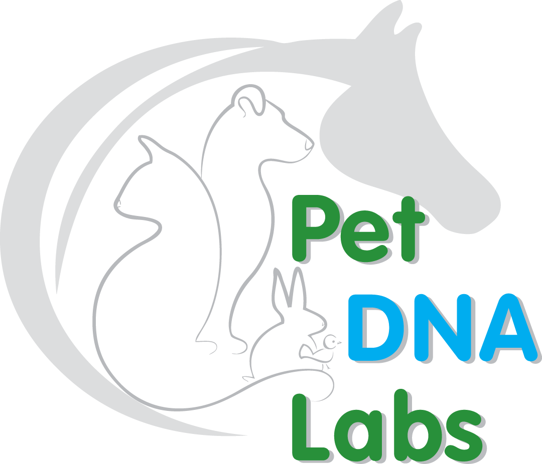 Logo Design by Susie Basso for Access Genetics | Design #6060474