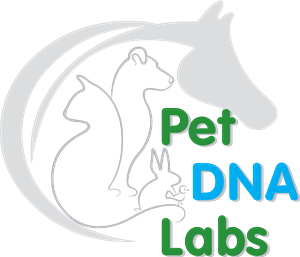 Logo Design by Susie Basso