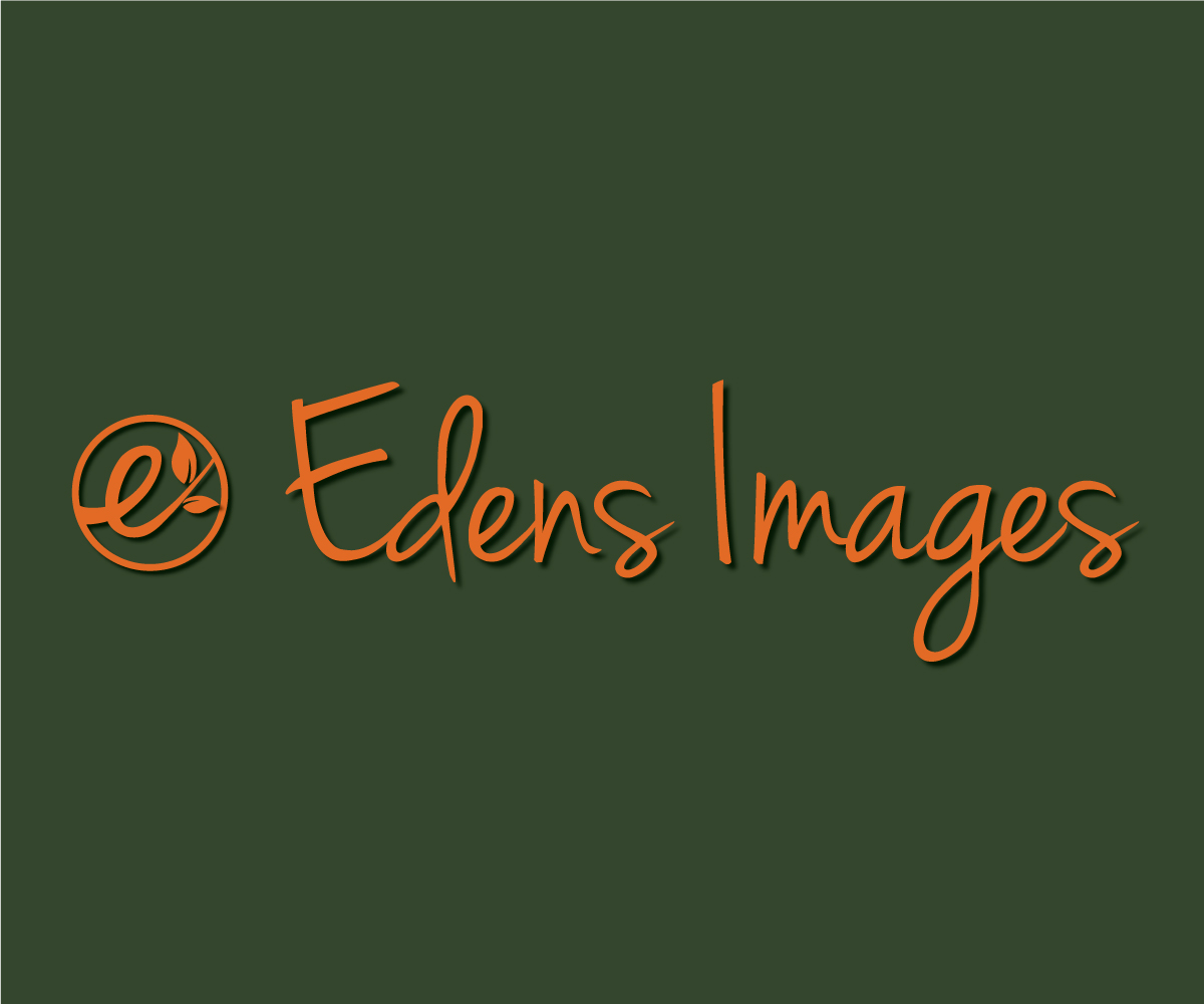 Logo Design by SOVisualSam for this project | Design #6063777