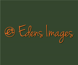 Logo Design by SOVisualSam for this project | Design #6063777