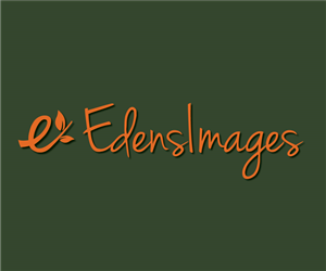Logo Design by SOVisualSam