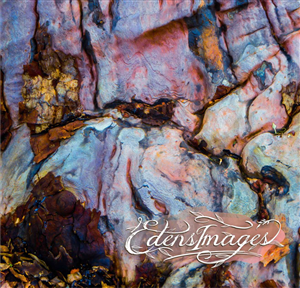 Logo Design by joshgraph for this project | Design: #6099760