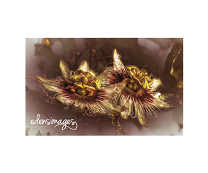 Logo Design by sonia silva for this project | Design: #6076849