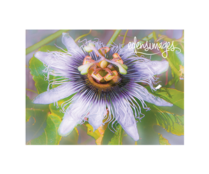 Logo Design by sonia silva for this project | Design: #6076855