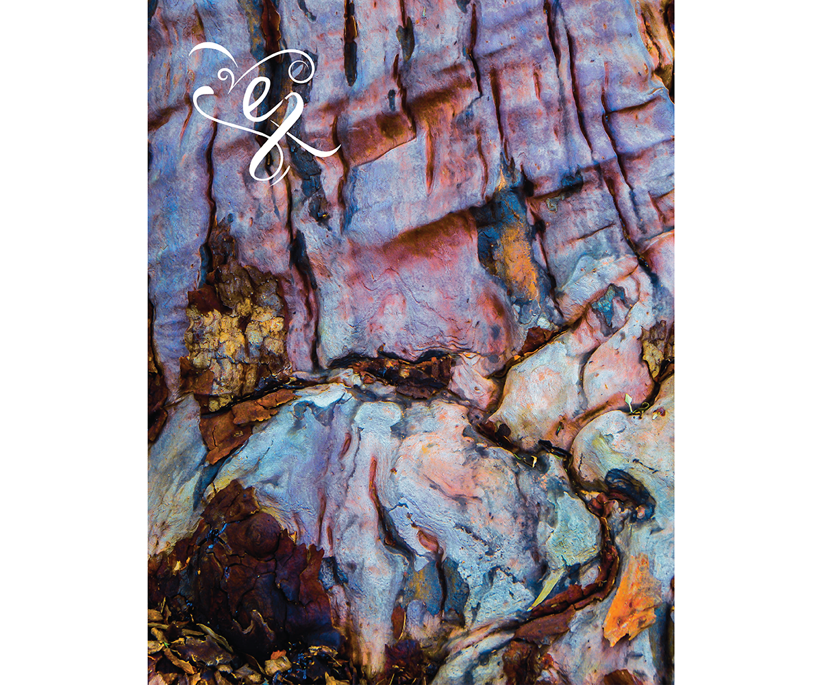 Logo Design by sonia silva for this project | Design #6086712