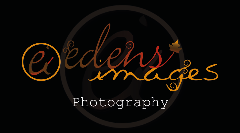 Design de Logo par Elbe pour ce projet | Design #6096821