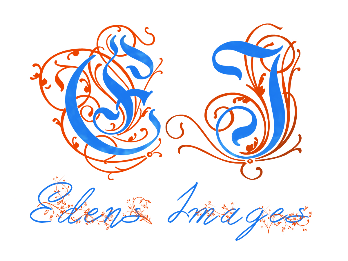 Logo Design by Havoc Designs for this project | Design #6061067