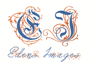 Logo Design by Havoc Designs for this project | Design #6061067