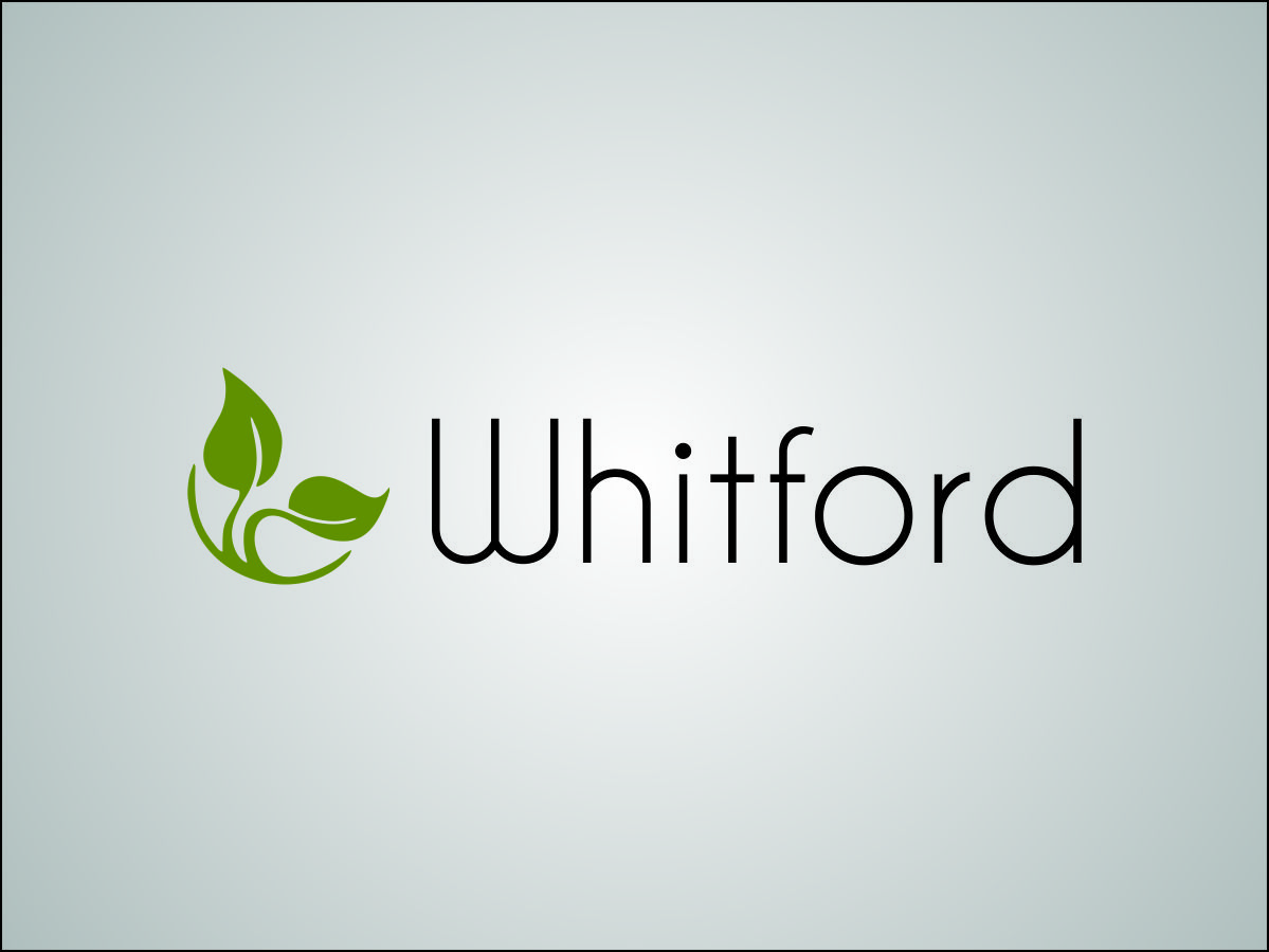 Logo Design by Mihaela for Owen International Ltd | Design #1627561