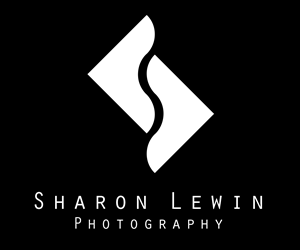 Logo Design by Rollover for this project | Design: #6111808