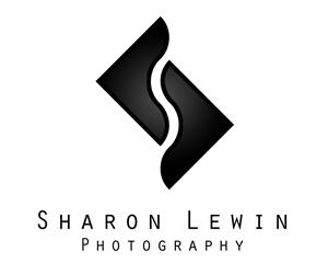 Logo Design by Rollover for this project | Design #6111820