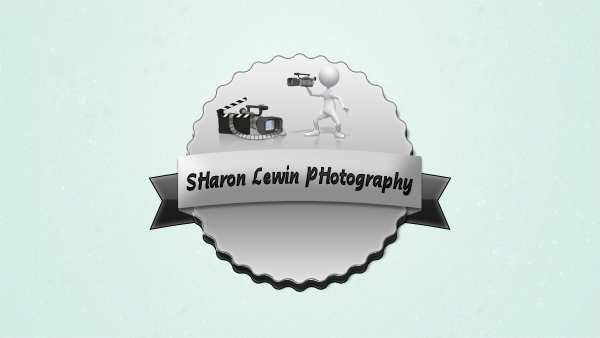 Logo Design by yassine mabrouk for this project | Design #6072698