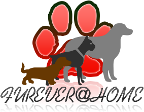 Diseño de Logo por Blackhat Studios para Twin Tigers Martial Arts | Diseño #6064200