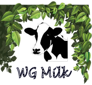 Logo Design by sindhu993 for this project | Design: #6071951