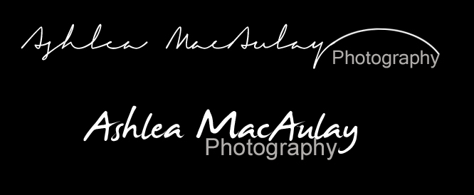 Logo Design by Subhadeep for Ashlea MacAulay Photography | Design #1634567