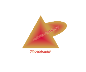 Logo Design by B Designs