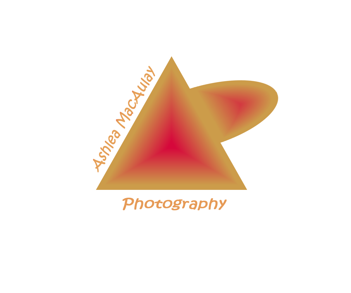 Logo Design by B Designs for Ashlea MacAulay Photography | Design #1631347