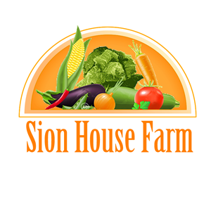 Logo Design by Blake Andujar Design