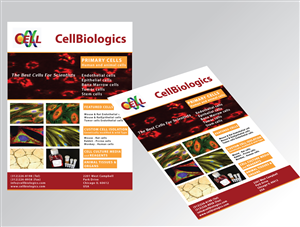 Flyer Design by GGV for this project | Design: #6068889