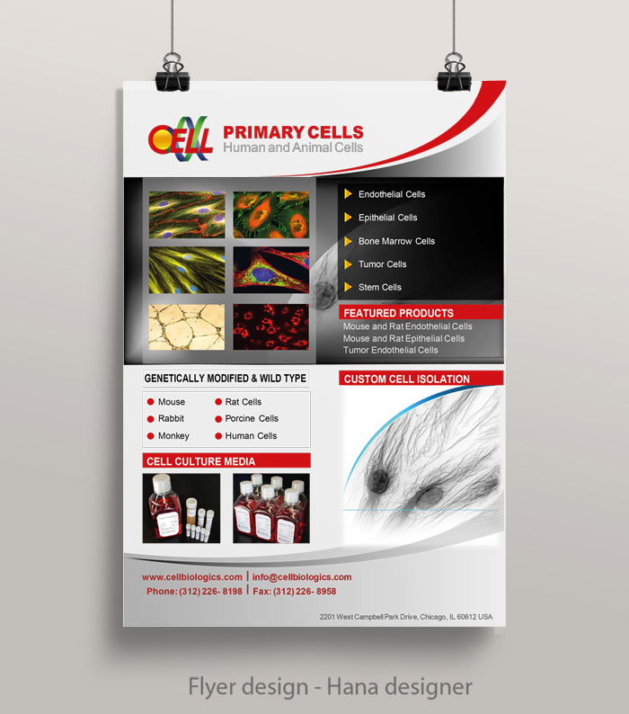 Flyer Design by Hana for this project | Design #6074475