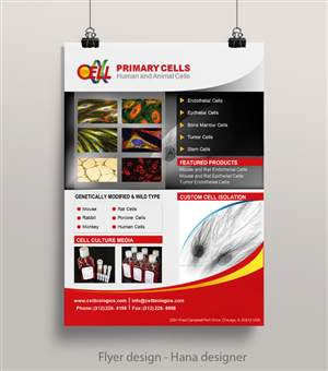 Flyer Design by Hana for this project | Design: #6074545