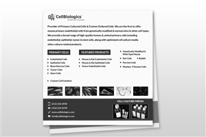 Flyer Design by Pointless Pixels India for this project | Design: #6079129
