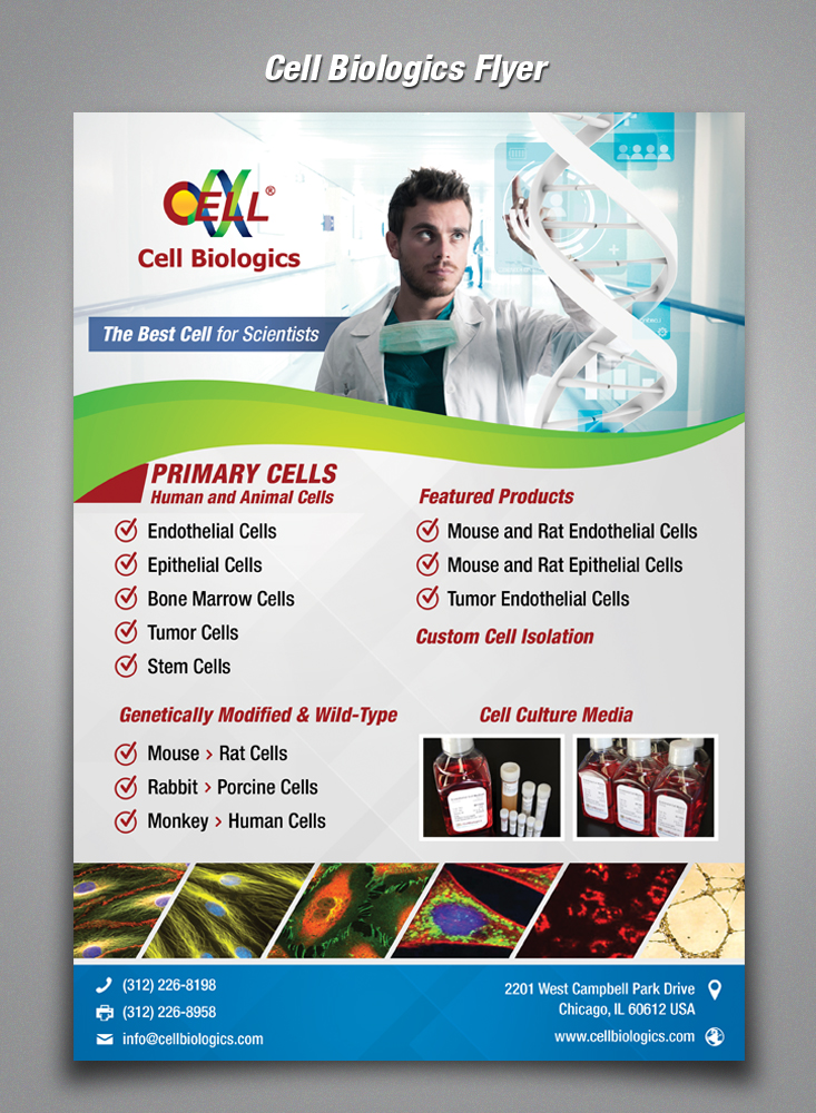 Flyer Design by sun_design for this project | Design: #6140343