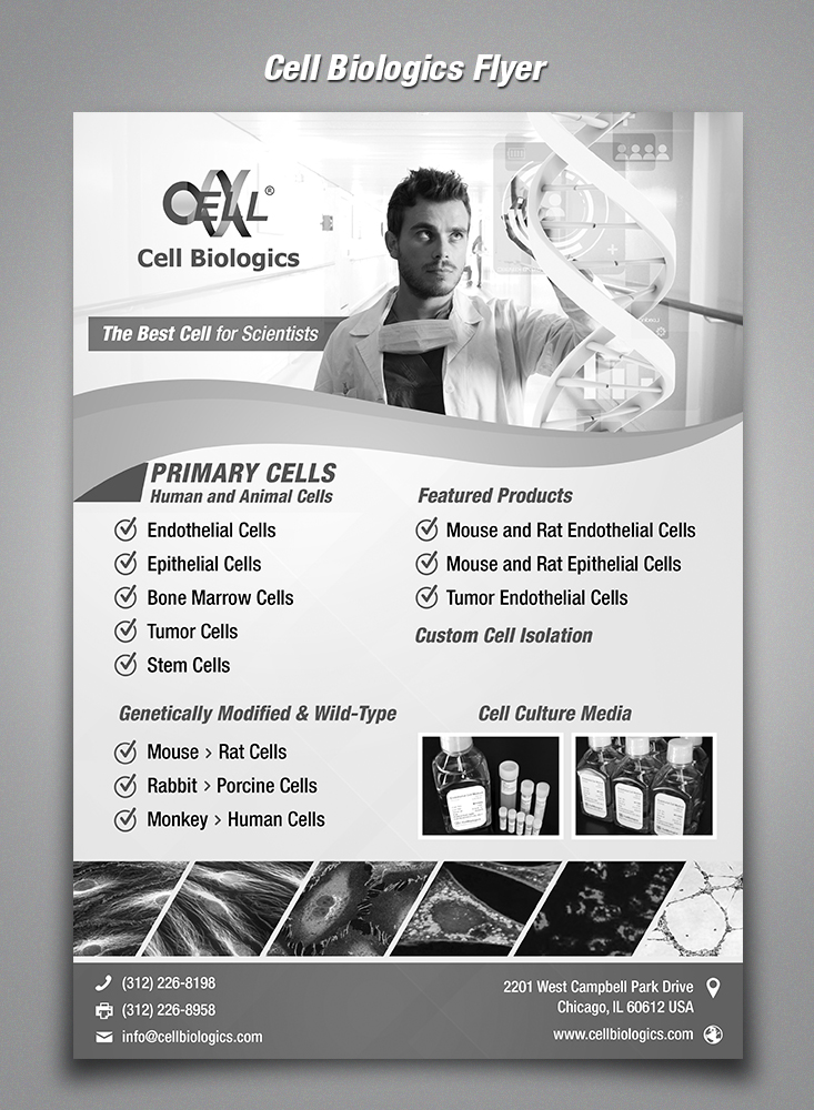 Flyer Design by sun_design for this project | Design #6258463
