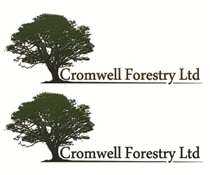 Logo Design by Abir999
