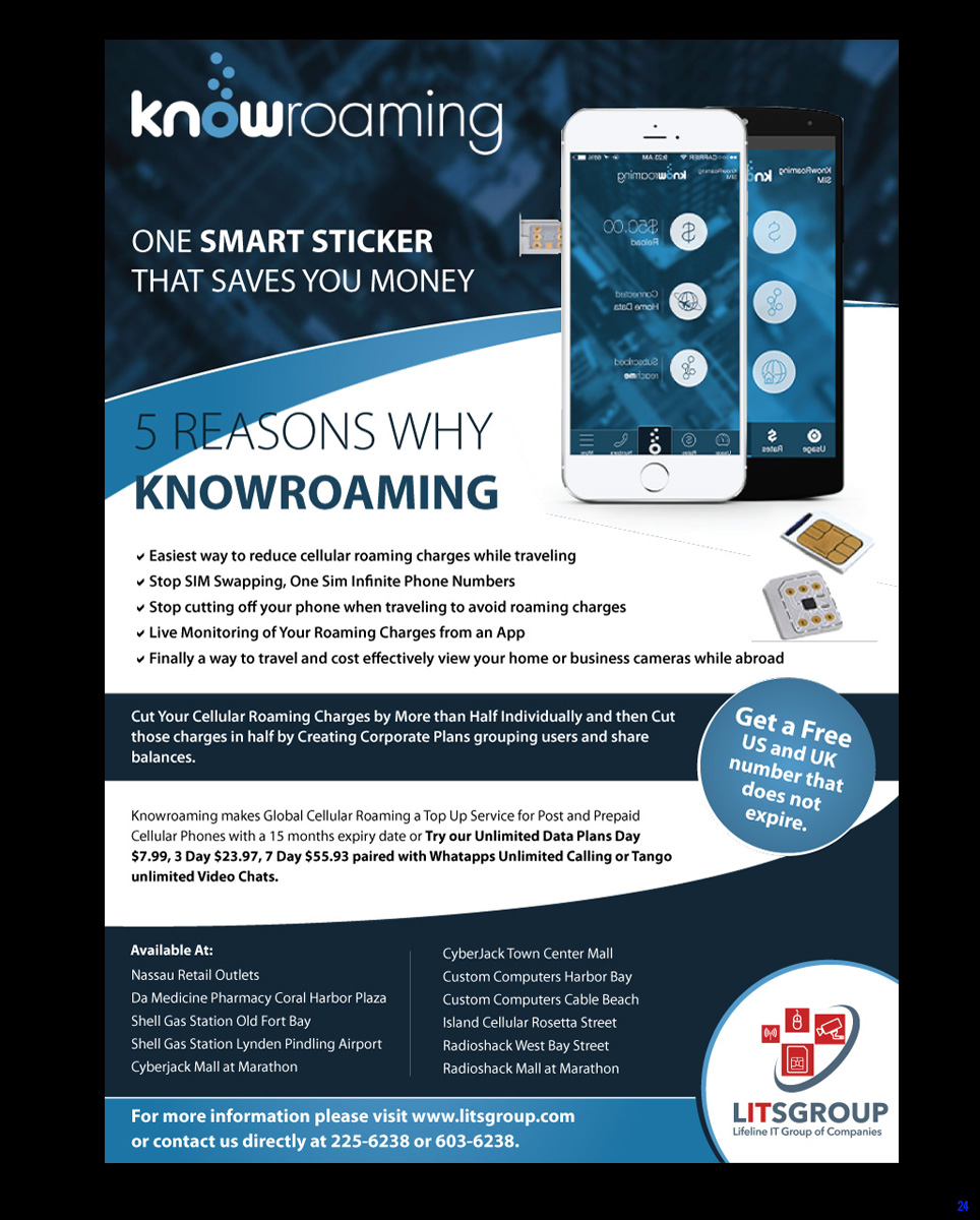 Flyer Design by uniquedesign10 for Litsgroup "Lifeline IT Group of Companies" | Design #6076323