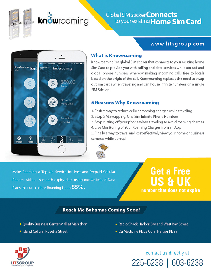 Design de Flyer par Ovimatic pour Litsgroup "Lifeline IT Group of Companies" | Design #6106260