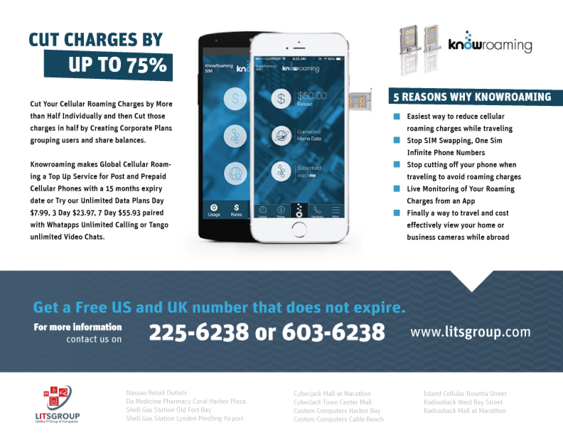 Flyer Design by PixelizeDesigns for Litsgroup "Lifeline IT Group of Companies" | Design #6073098