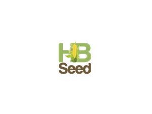 Logo Design by TheTigerStudio